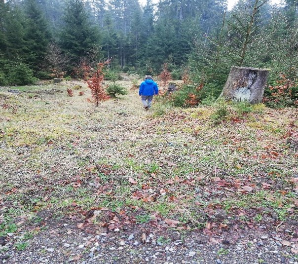 Spaziergang im Wald im Fichtelgebirge