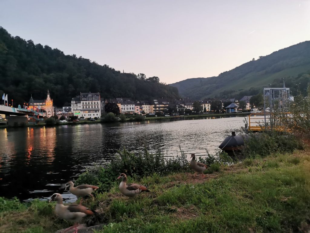 Moselufer